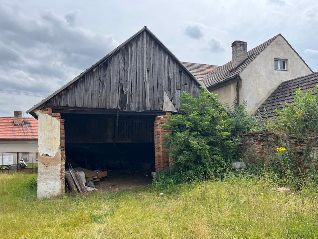 IMG_1253